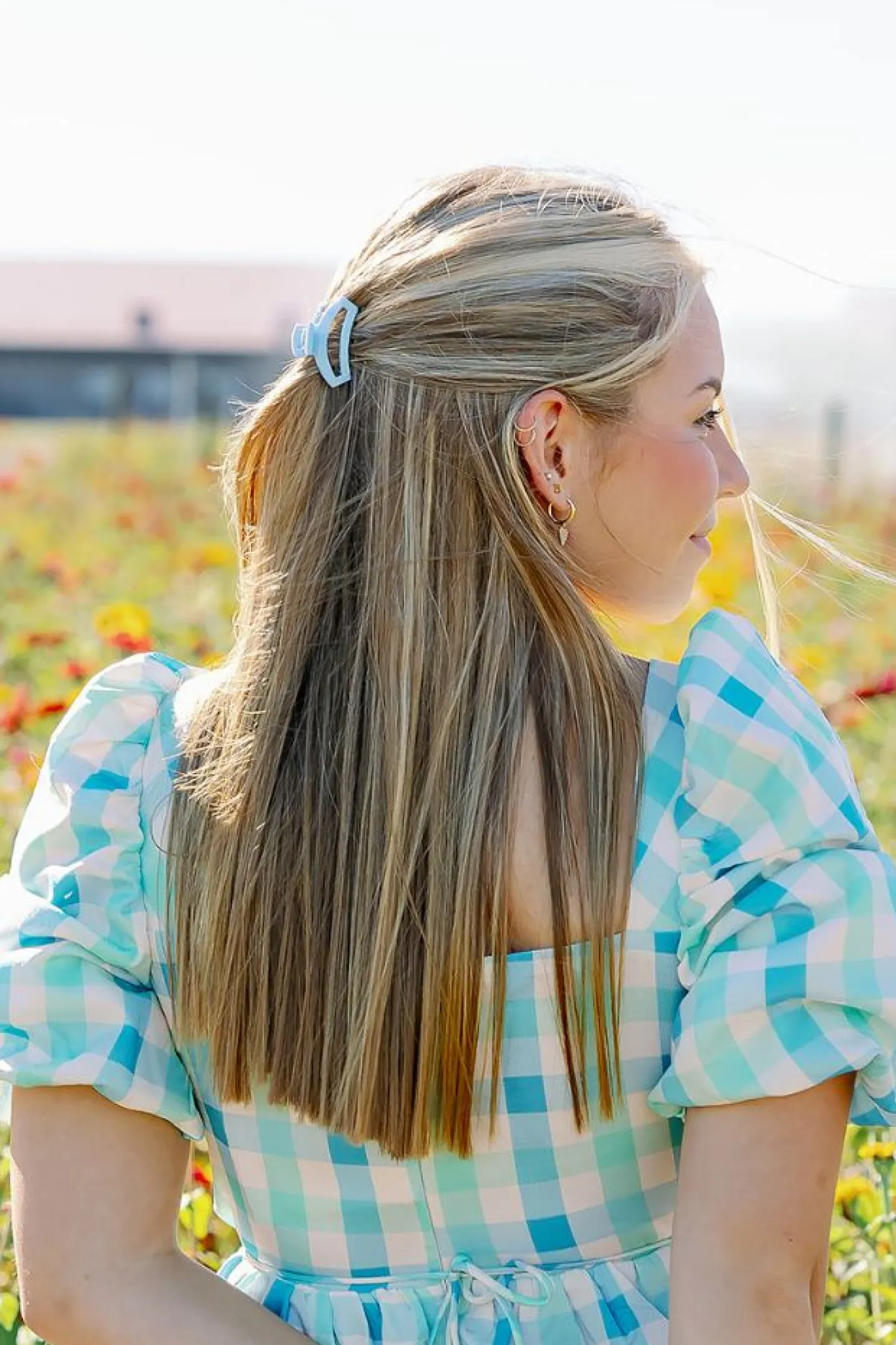 Open Clear Skies Tiny Claw Hair Clip